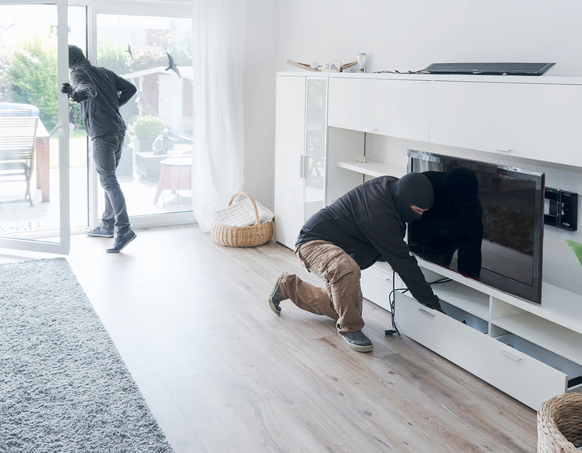 Two burglars breaking inside a living room